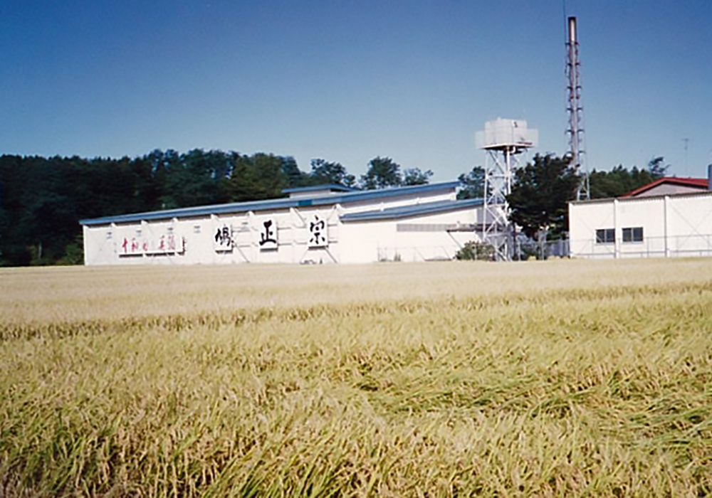 Hato Masamune gallery image 5