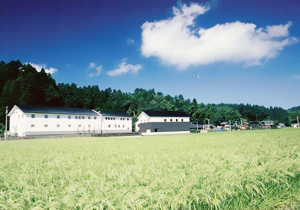 Kusumi Shuzou gallery image 5