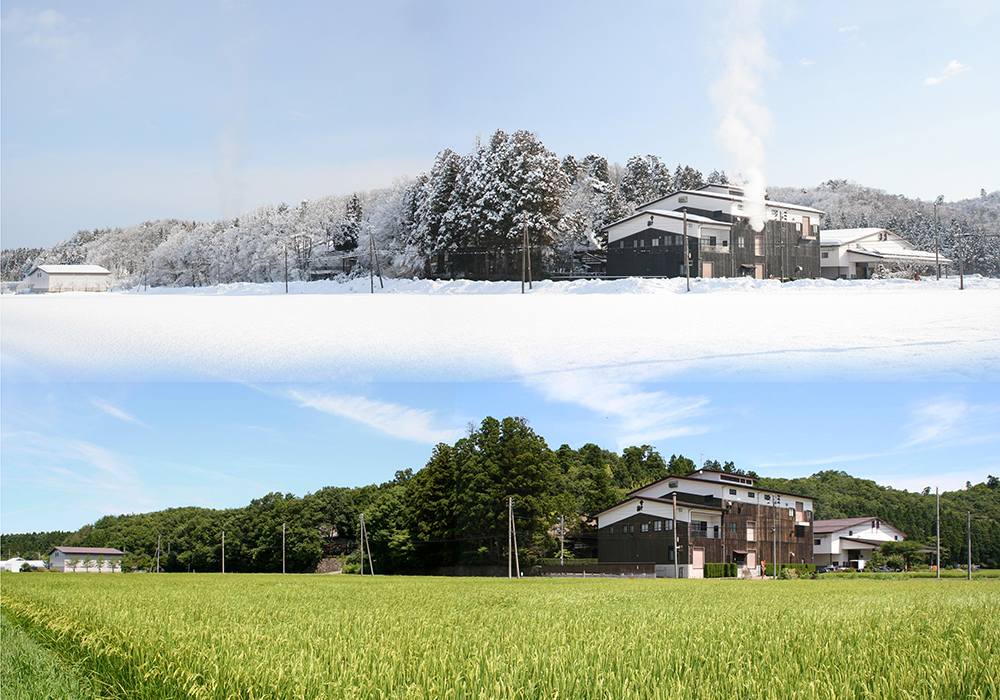 Maruyama Shuzoujou gallery image 5