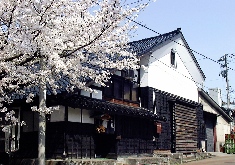 Nakagawa Shuzou gallery image 5