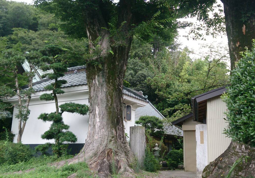Ooyatakashi Shuzou gallery image 2