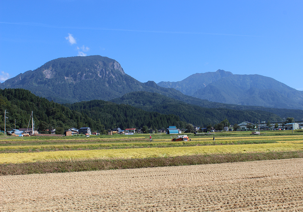 Watanabe Shuzouten gallery image 3