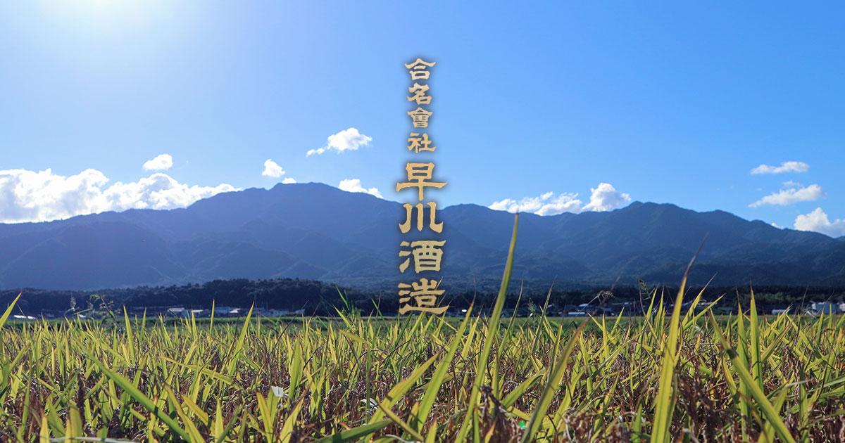 Hayakawa Shuzou brewery