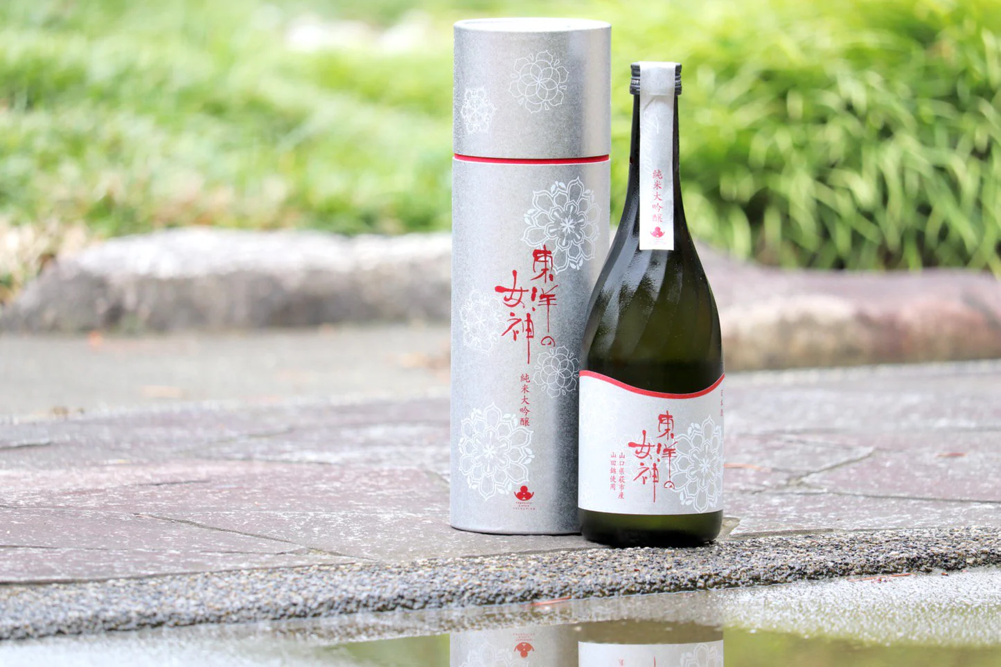 東洋美人 純米酒 sake